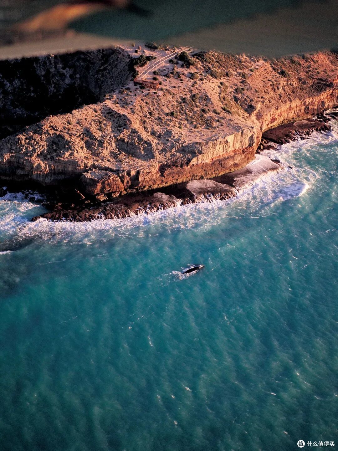 ● Bunda Cliffs, Eyre Peninsula, South Australia  📷 / © South Australian Tourism Commission/Adam Bruzzone