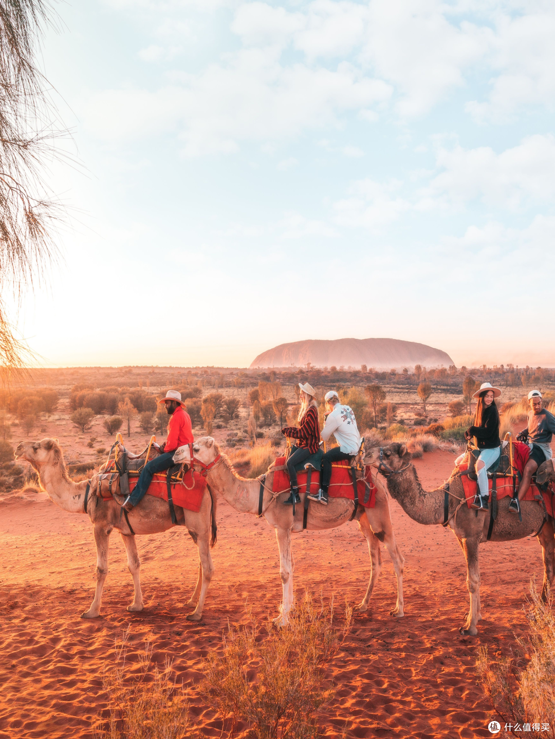 ● Uluru-Kata Tjuta National Park, Northern Territory  📷 / © Tourism & Events NT/Jesse Lindemann