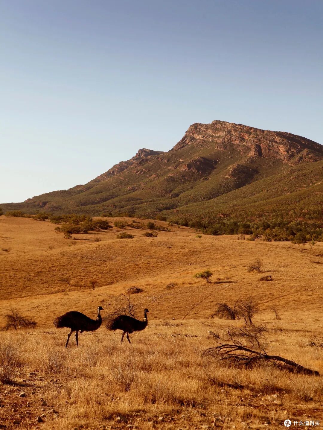 ● Wilpena Pound, Flinders Ranges & Outback, South Australia  📷 / © Anthology Travel