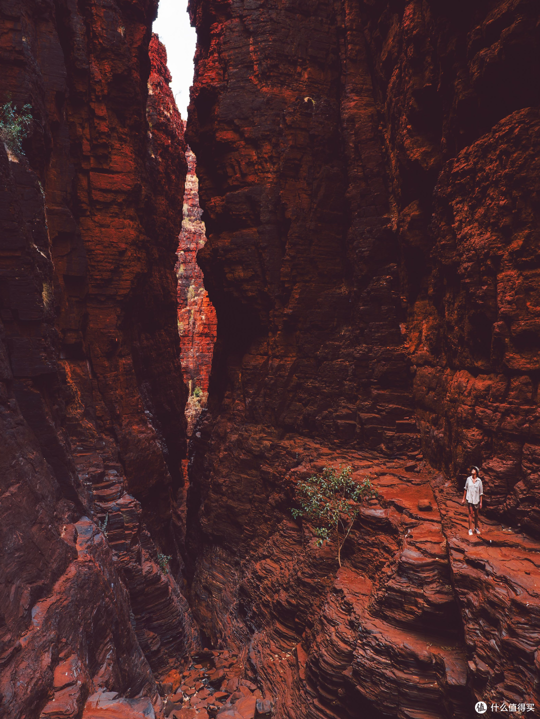 ● Karijini National Park, Western Australia  📷 / © Tourism Western Australia