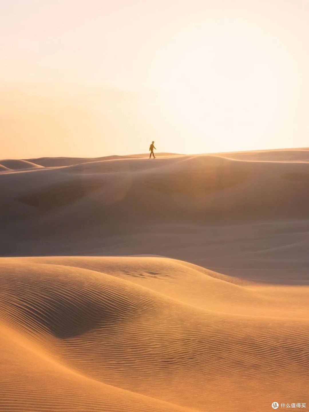● Stockton Sand Dunes, New South Wales  📷 / © Destination NSW