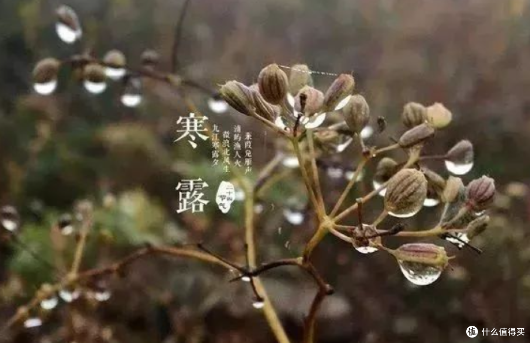 国庆假期后就是寒露,天气逐渐转冷,这肉贵点也该多吃,御寒暖身