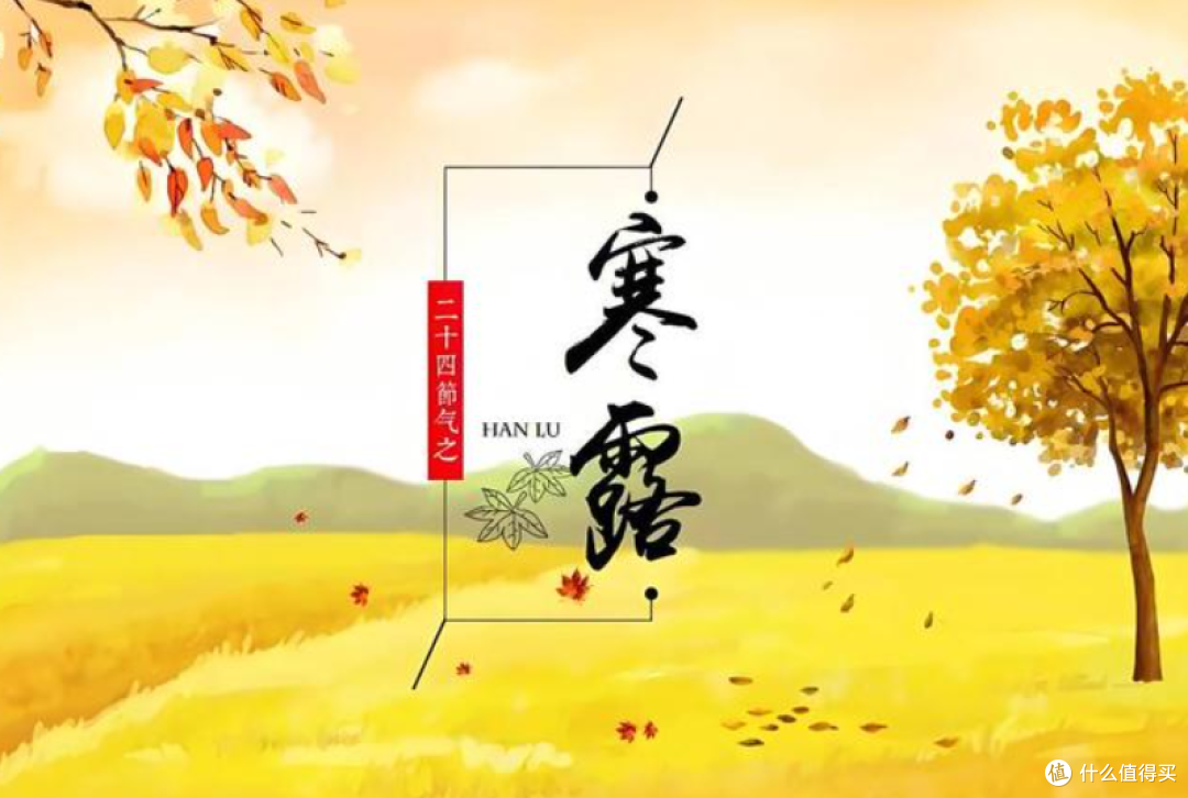 国庆假期后就是寒露,天气逐渐转冷,这肉贵点也该多吃,御寒暖身