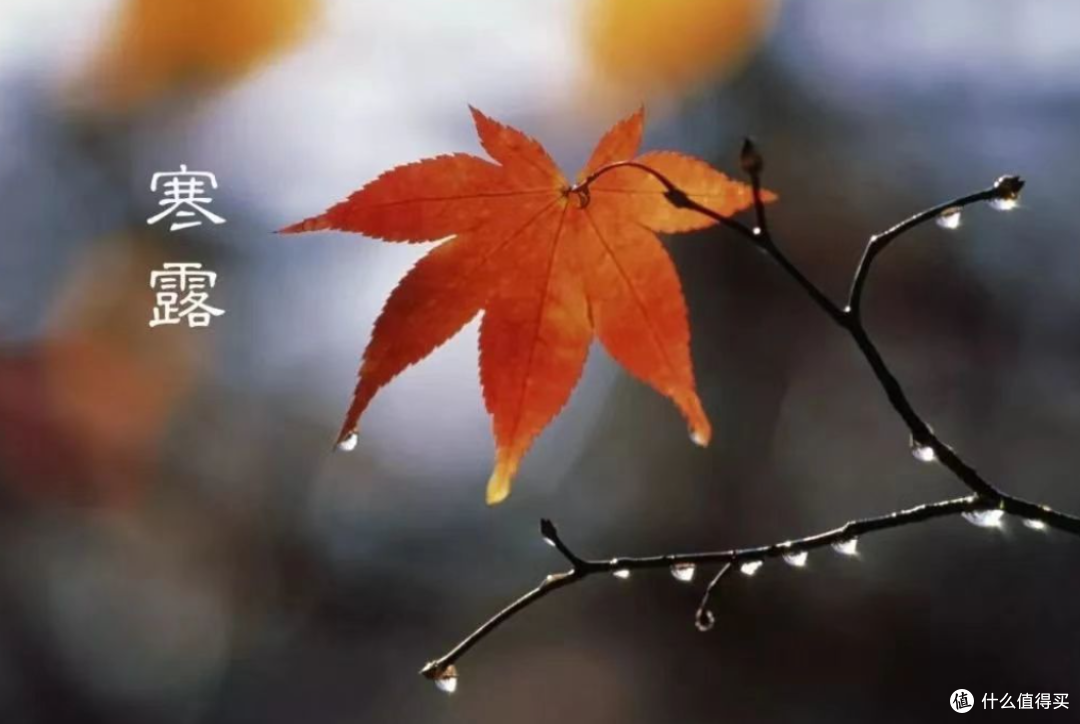 国庆假期后就是寒露,天气逐渐转冷,这肉贵点也该多吃,御寒暖身
