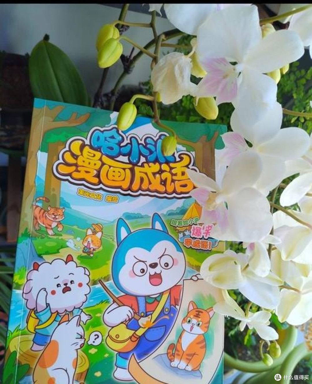 《哈小浪漫画成语》真实封面
