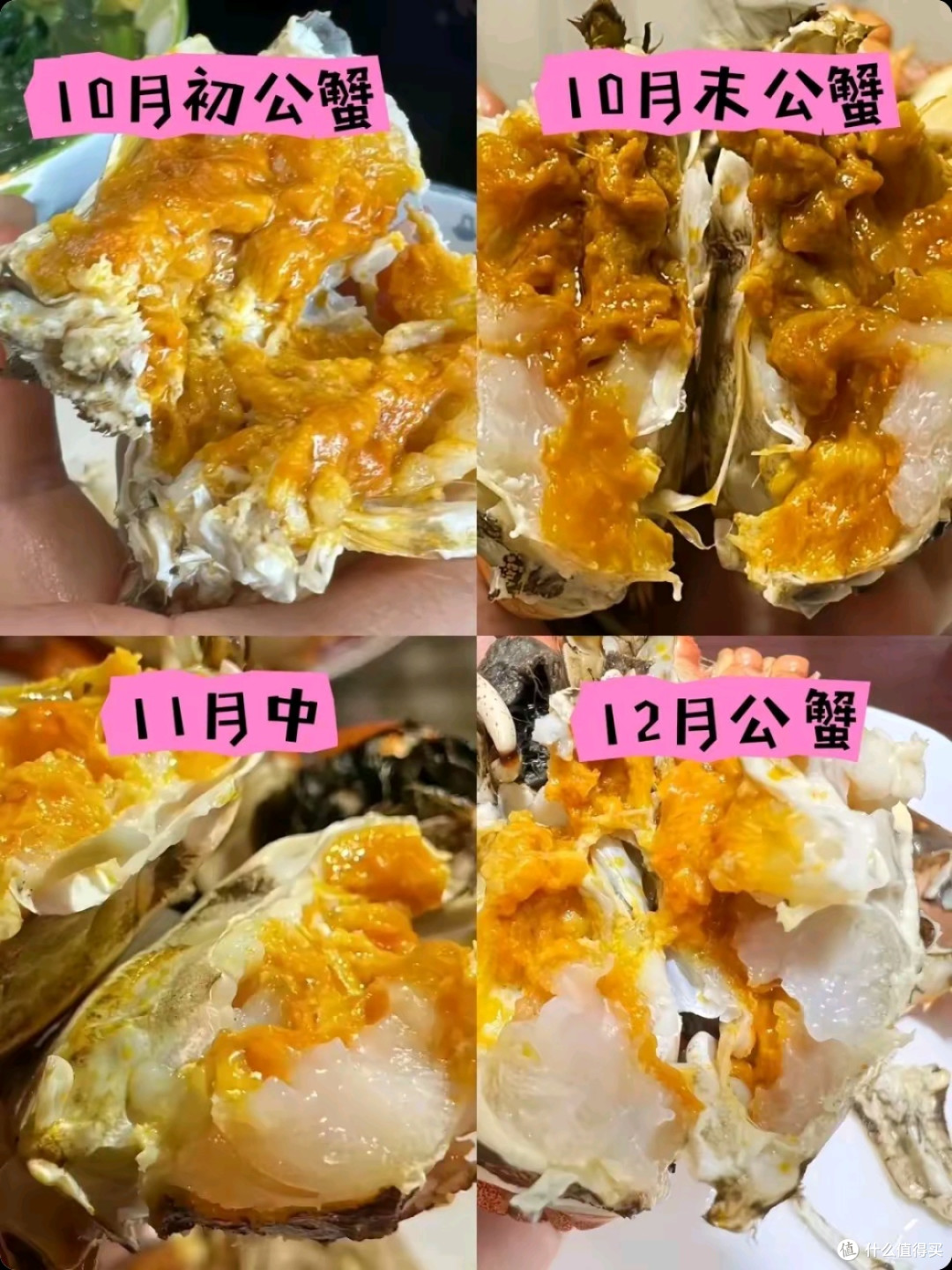 大闸蟹挑选攻略:满黄满膏靠的不是运气,是时间