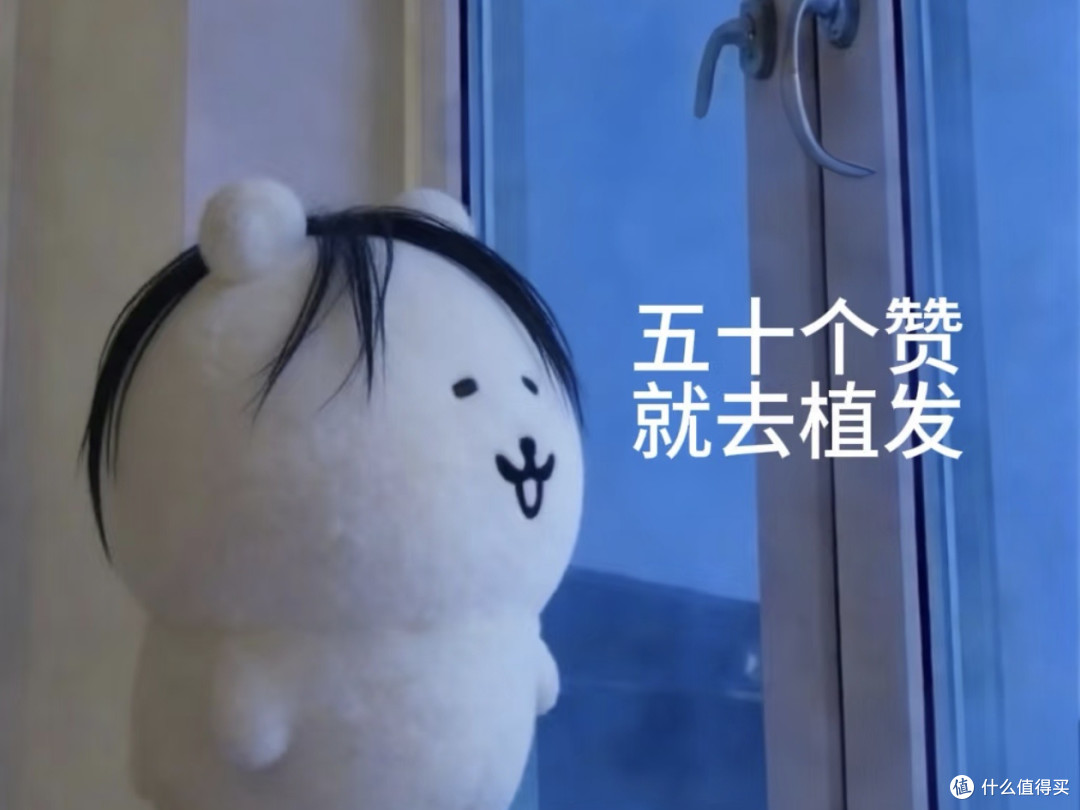 同头不同命：后脑勺这圈头发，还够不够植一次？