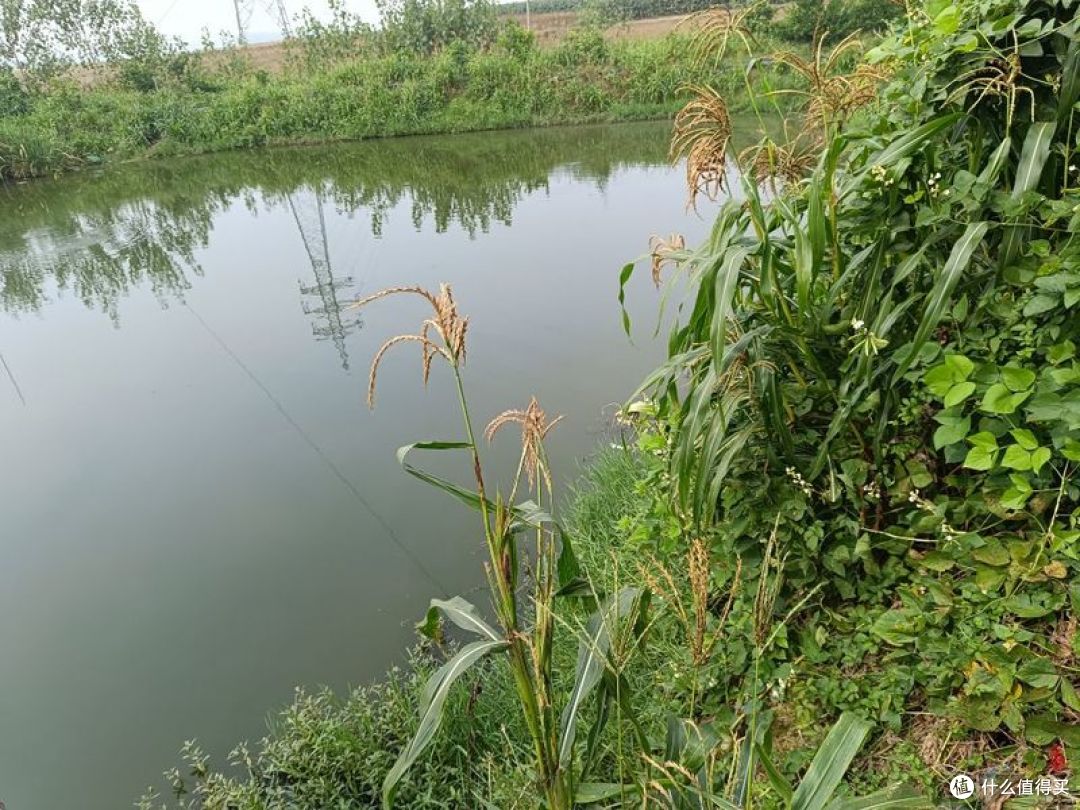 骑三阳巡弋 250 探市郊渔场:这台休旅踏板符合想象中耐造