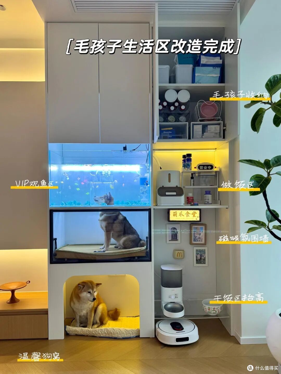 被网友“灵光一现”的装修惊艳到!路子很野,却一个比一个实用