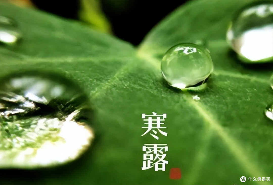 寒露将至,不懂吃就亏了!多吃3红3白、少吃3样,为入冬打好基础