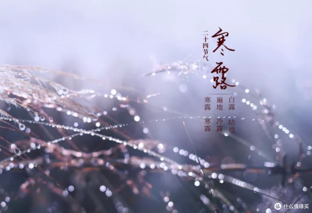 寒露将至,不懂吃就亏了!多吃3红3白、少吃3样,为入冬打好基础