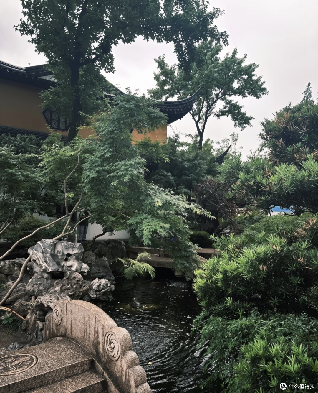 雨天感受寒山寺的安静。细雨无声浸润古寺,飞檐垂落串串雨珠。