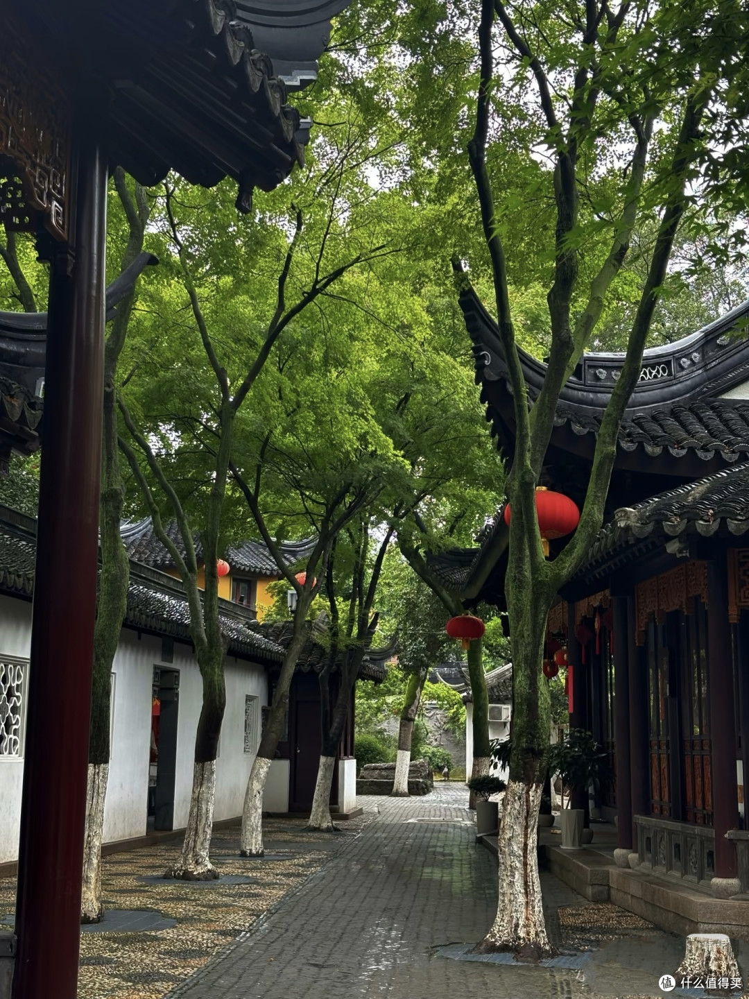 雨天感受寒山寺的安静。细雨无声浸润古寺,飞檐垂落串串雨珠。