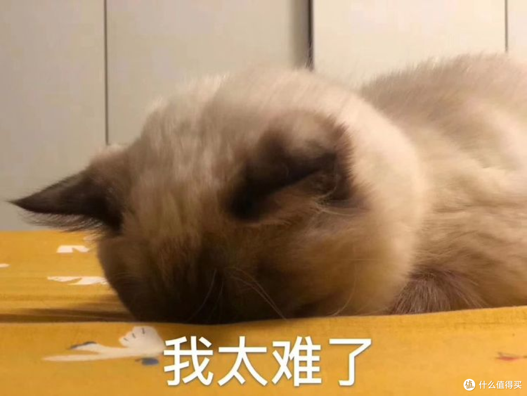 成者ET28 AI扫描仪实测:办公干活爽,娃学习也能用!
