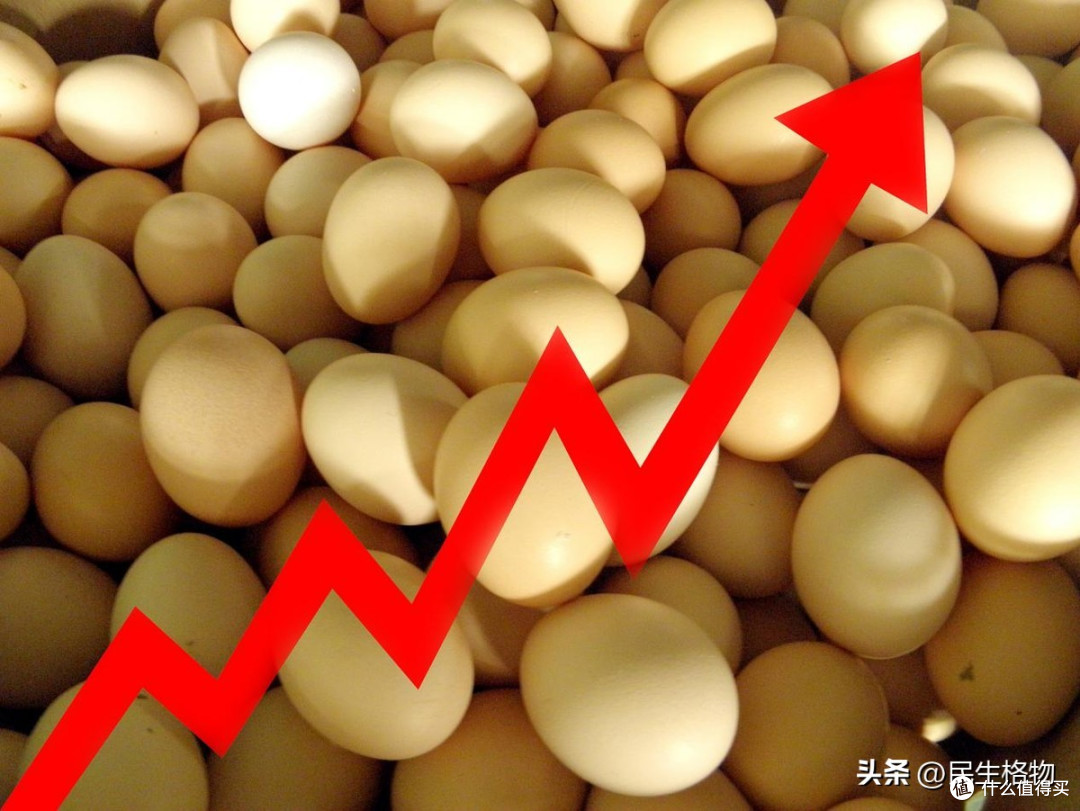 鸡蛋要变天?若不出意外的话,2026年蛋价将迎来4大转变