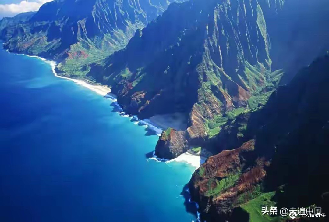 鱼油选购:从形容词到可查证凭证