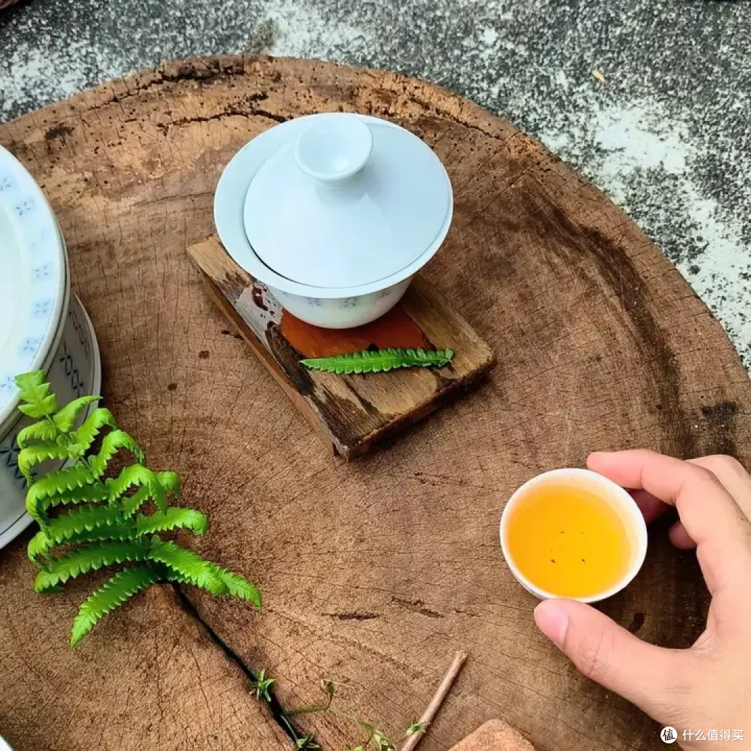 凤凰单丛茶排行榜前10名推荐!