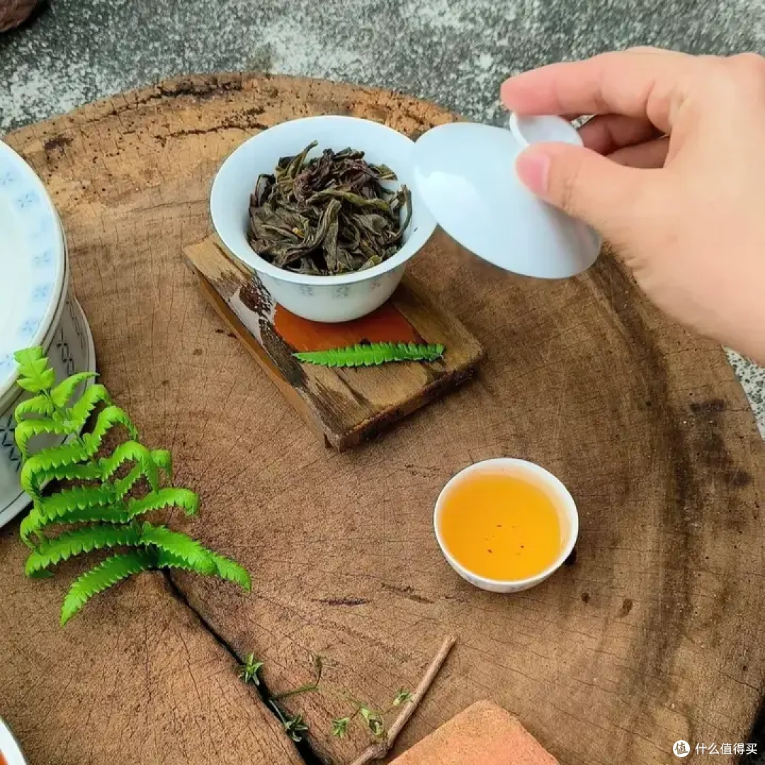 凤凰单丛茶排行榜前10名推荐!
