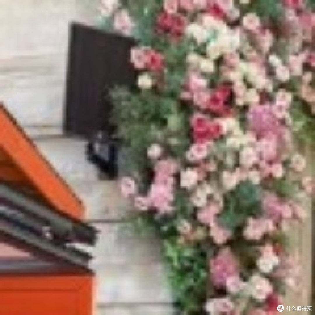 没接到花朵