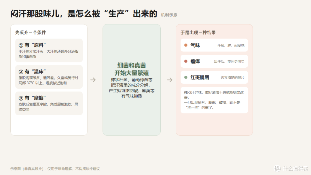 味儿的产生链条
