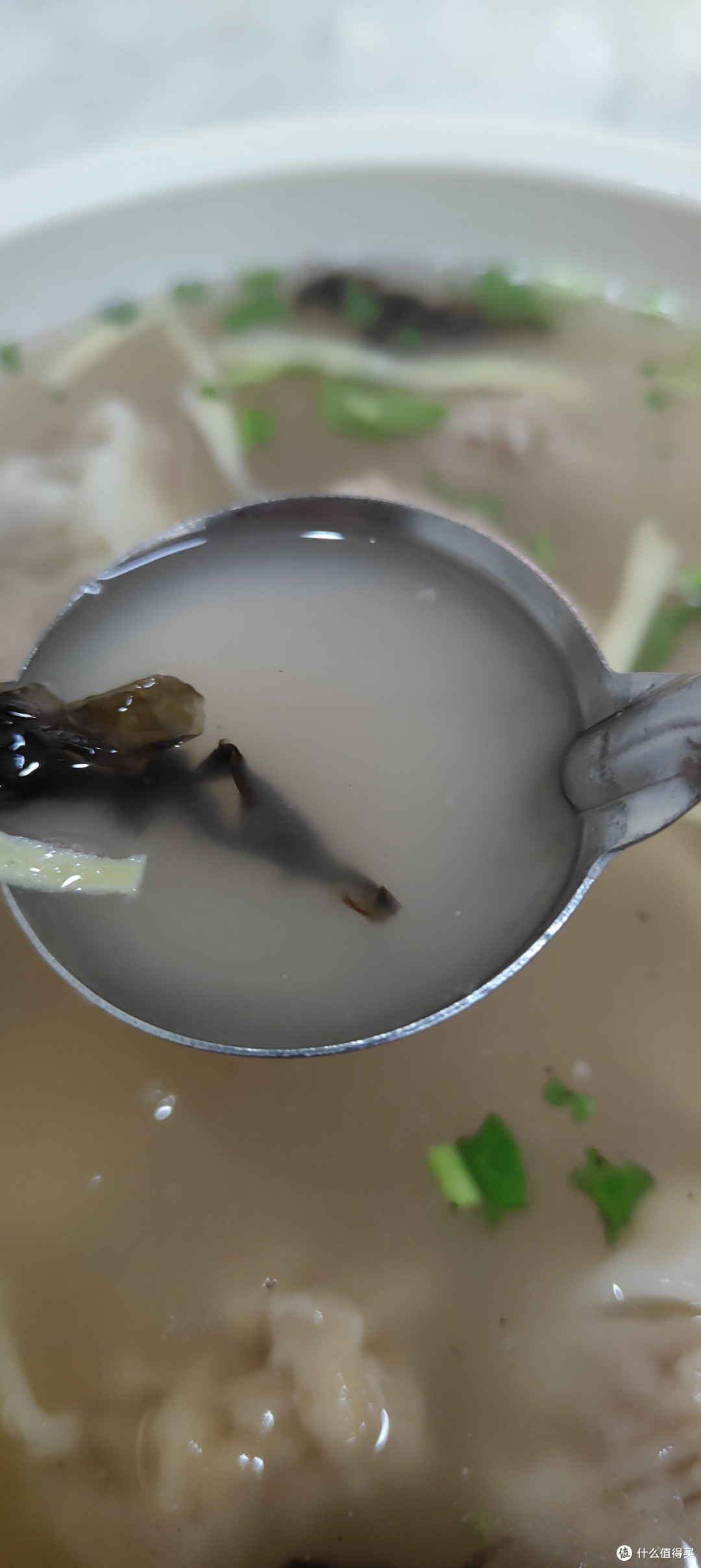 不是真的“野馄饨”，隐藏青岛西镇的馄饨店，味道真的好？