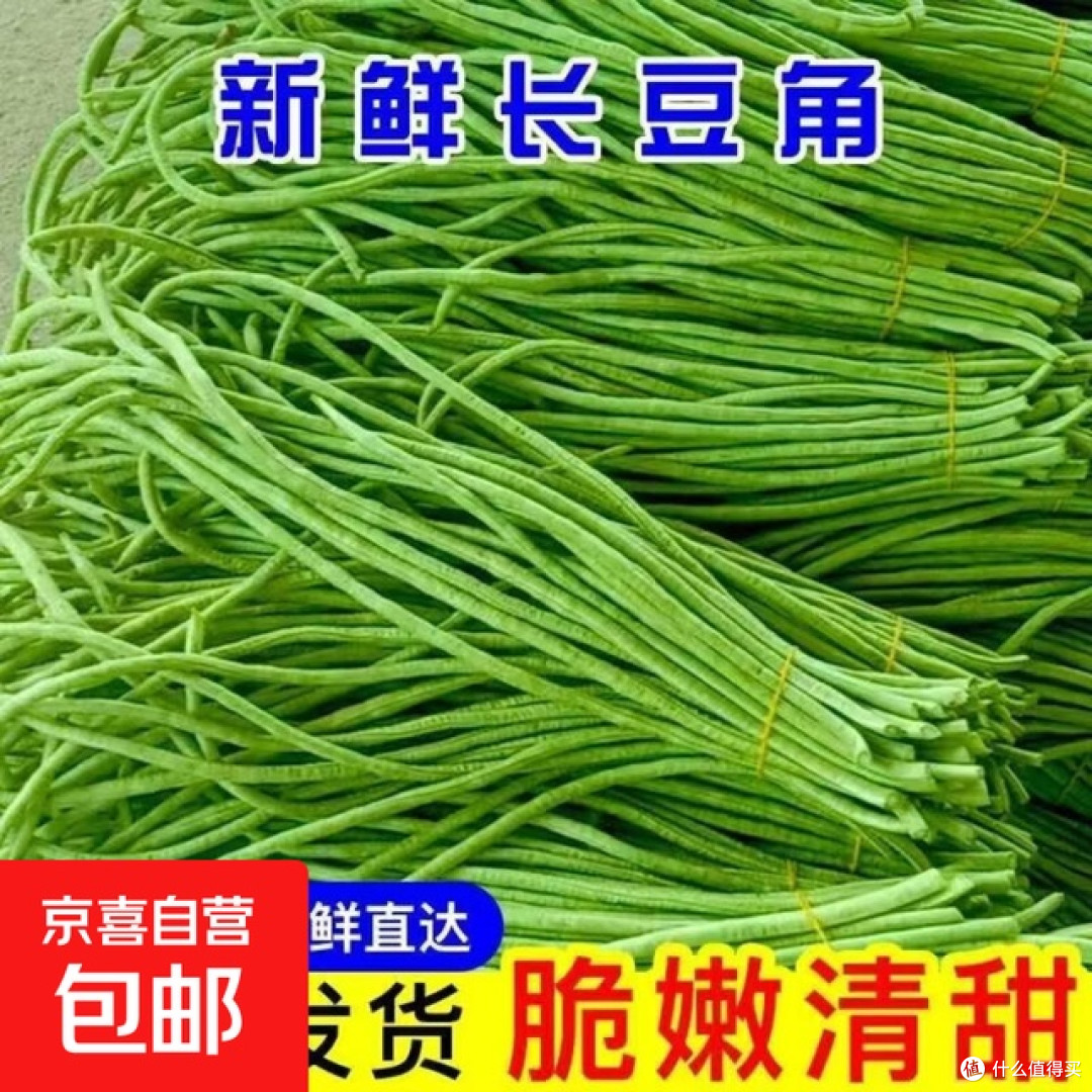 豆角随和生长与节制智慧