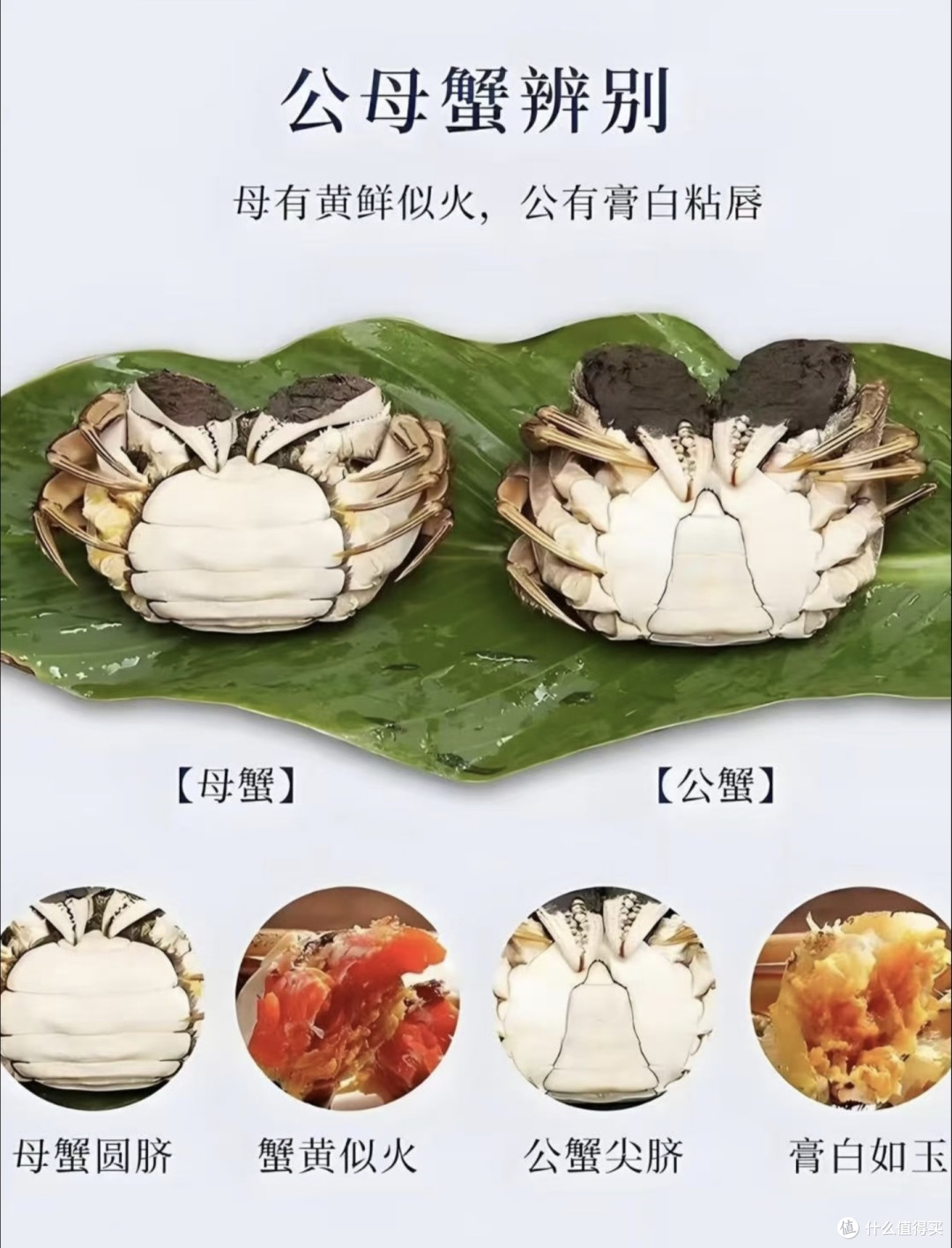 50元成本就能做出饭店将近200元的“毛蟹年糕”,很好吃,满足。
