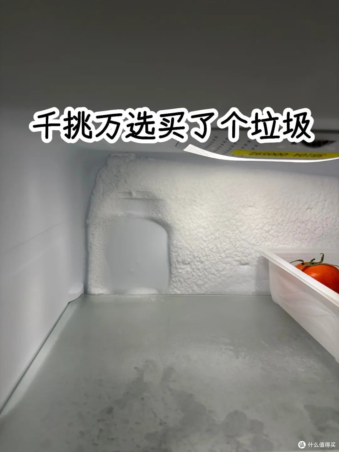这5种家电不能贪便宜，必须要买贵的，区别太大了！
