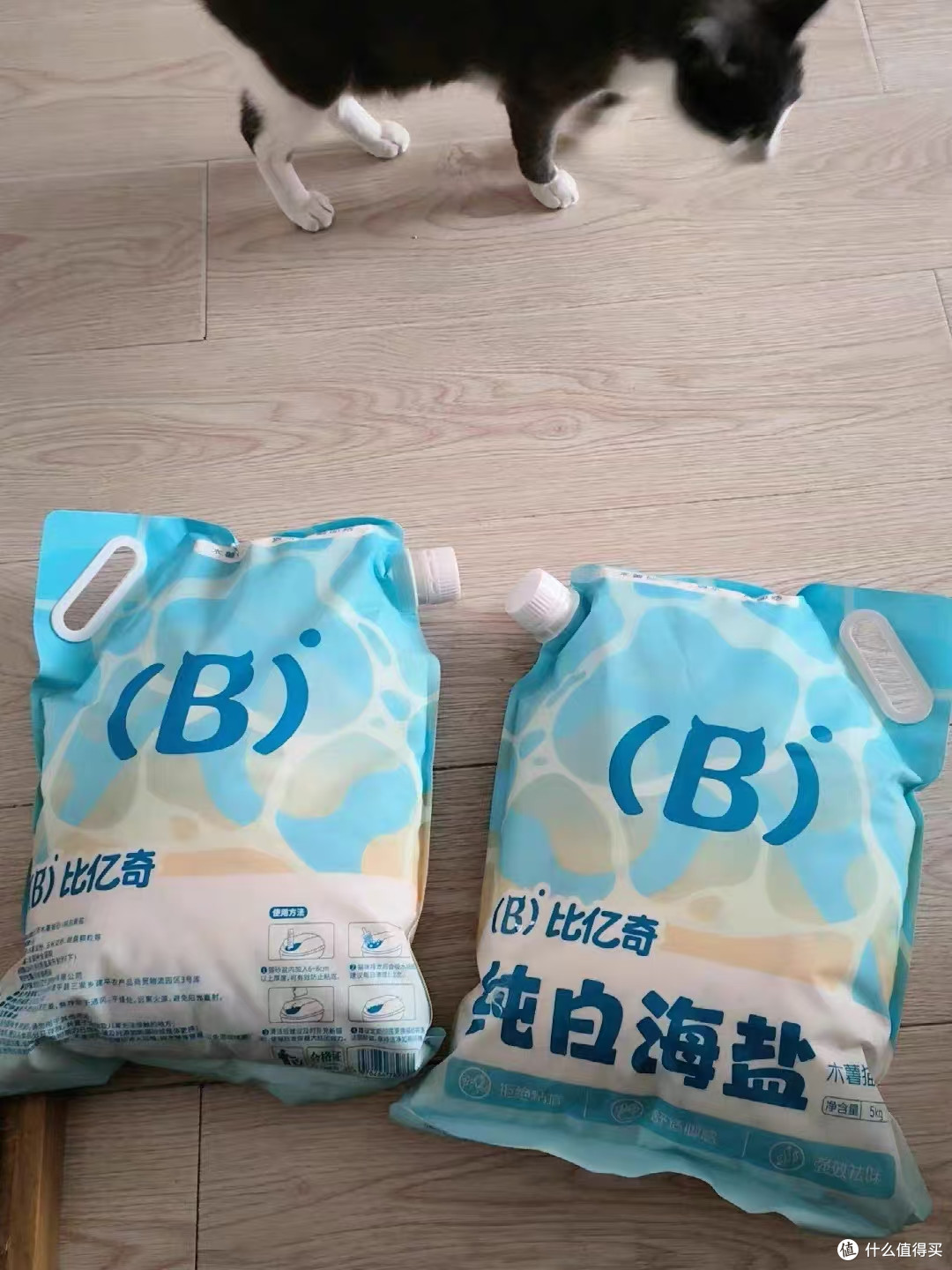 养猫家庭除臭难题被比亿奇纯木薯猫砂拿捏✨