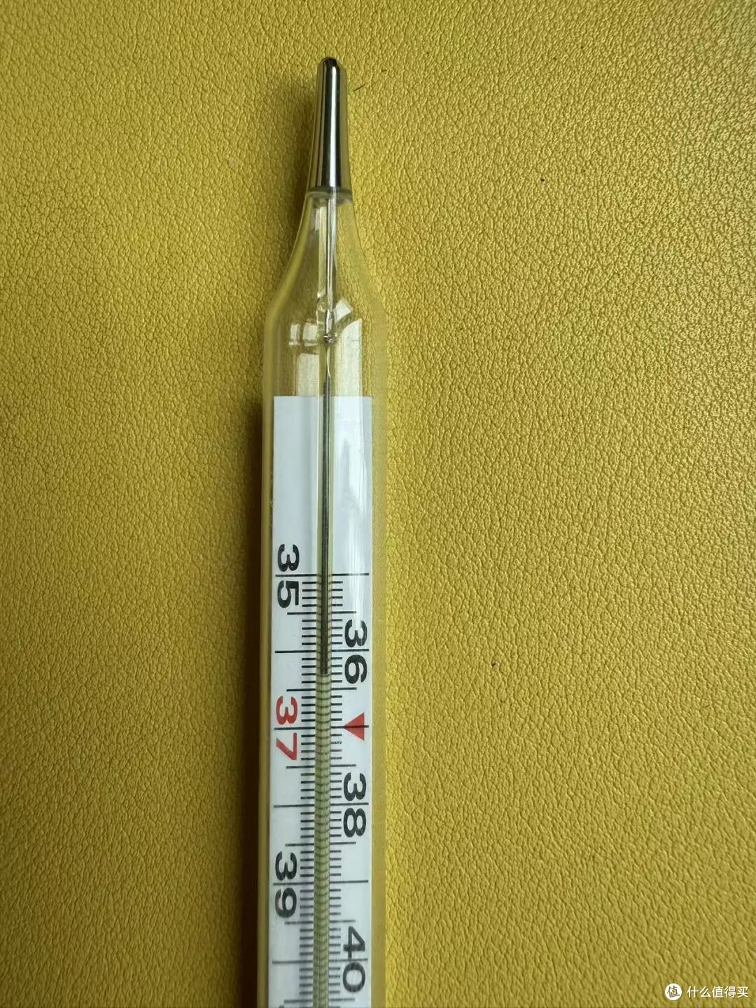 天猫179海鲜只要29.9的儿童电子体温计实测