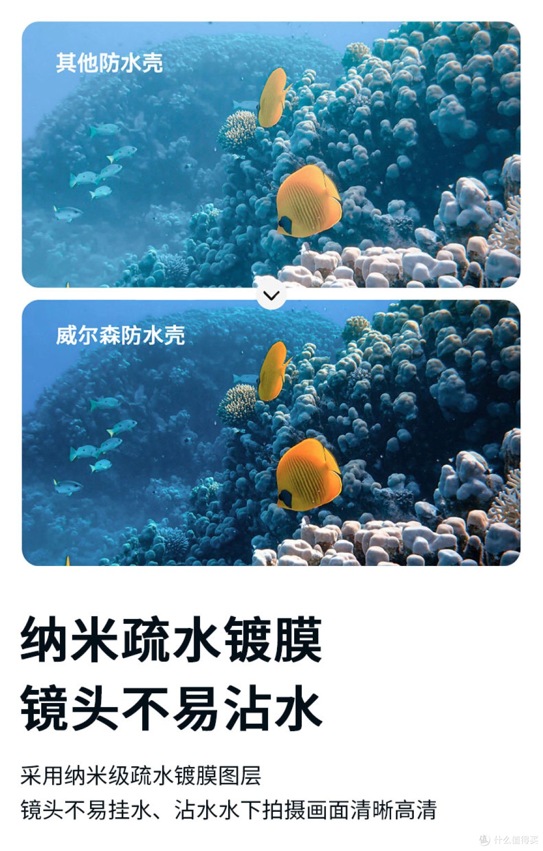 潜水实测|给大疆A5装上防水壳,海底出片稳了