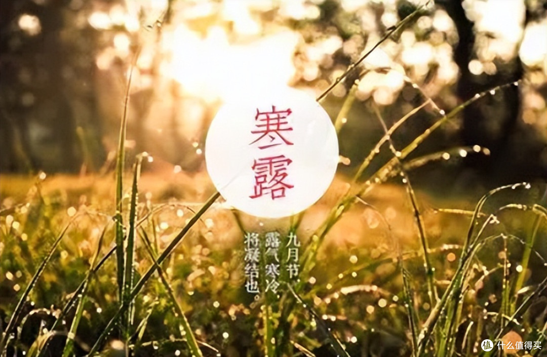 明日寒露,老规矩“做1事,护2处,吃3豆,4禁忌”,很多人不知道
