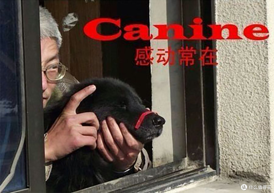 不止Z-cam:国产光学突围,电影机背后的产业深层逻辑