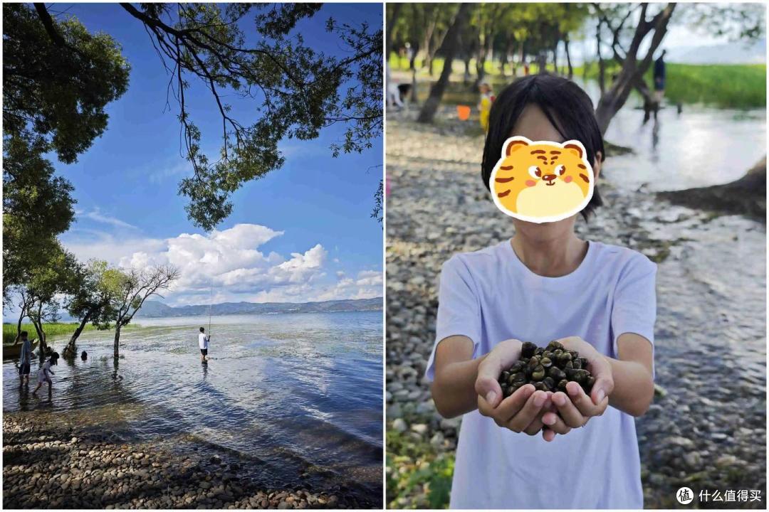 26年暑假继续闯云南,半个月的欢乐游记5-洱海边上漫游记