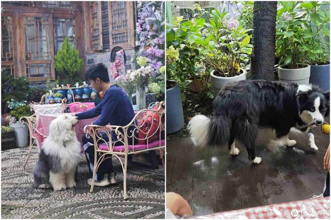 26年暑假继续闯云南，半个月的欢乐游记7-玉龙雪山我来了