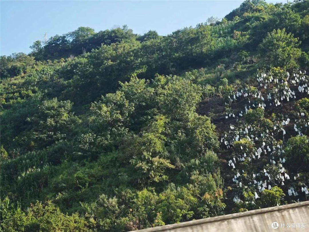 26年暑假继续闯云南,半个月的欢乐游记8-金沙江上虎跳峡