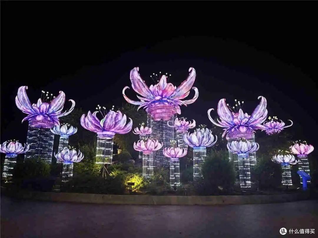 26年暑假继续闯云南，半个月的欢乐游记11-南宁误入童话记