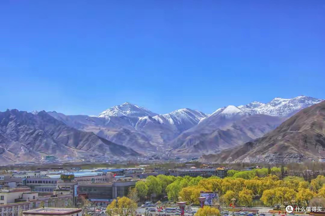 进口和国产灵芝孢子粉，到底差在哪
