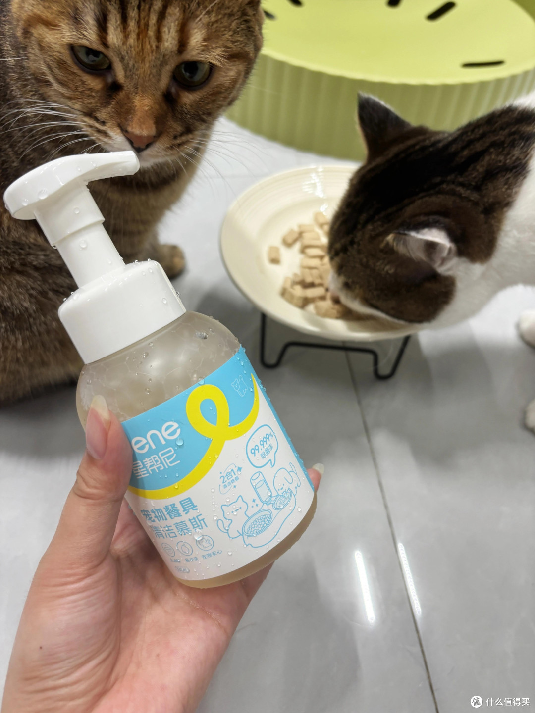 星帮尼慕斯分解宠物异味实测