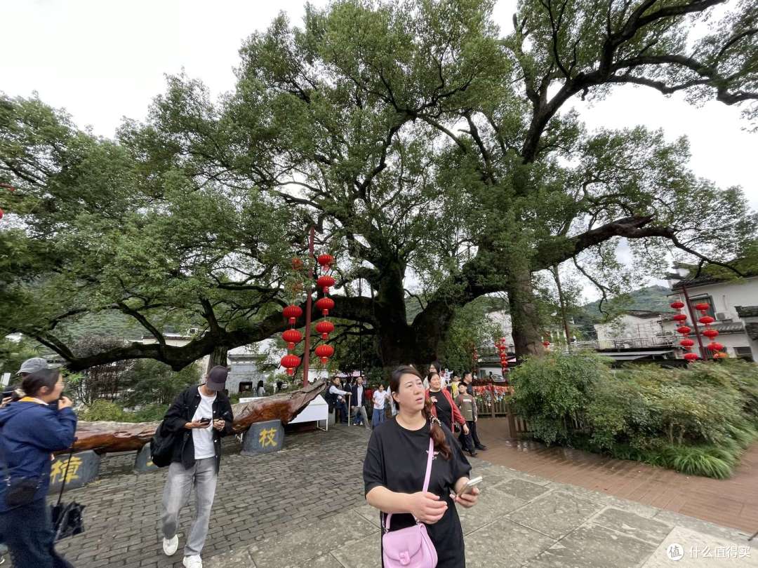国庆皖浙自驾：水墨黄山、新安江画廊与千岛湖实测