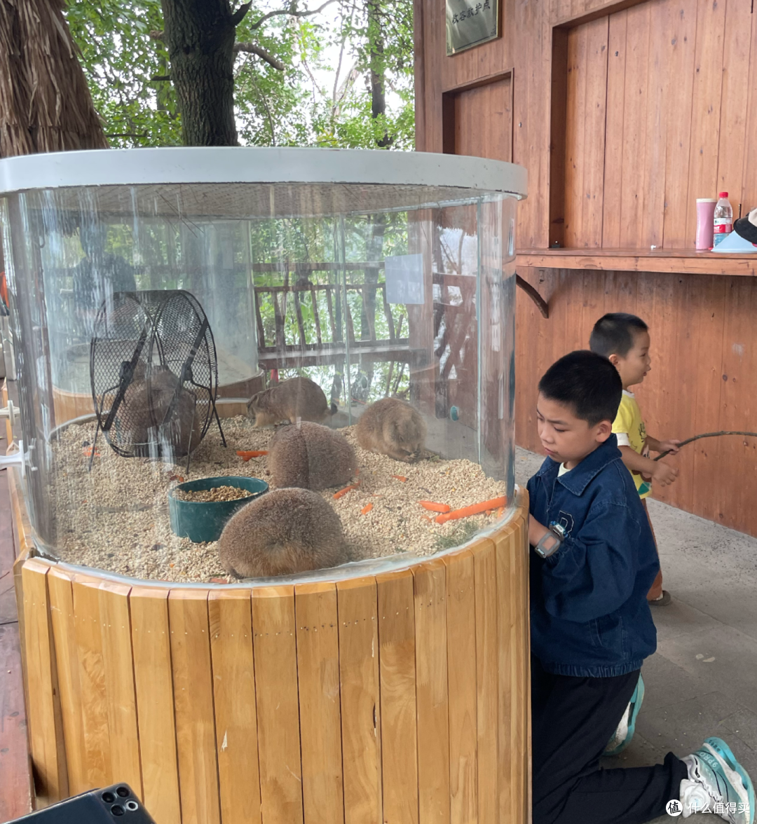 国庆皖浙自驾：水墨黄山、新安江画廊与千岛湖实测