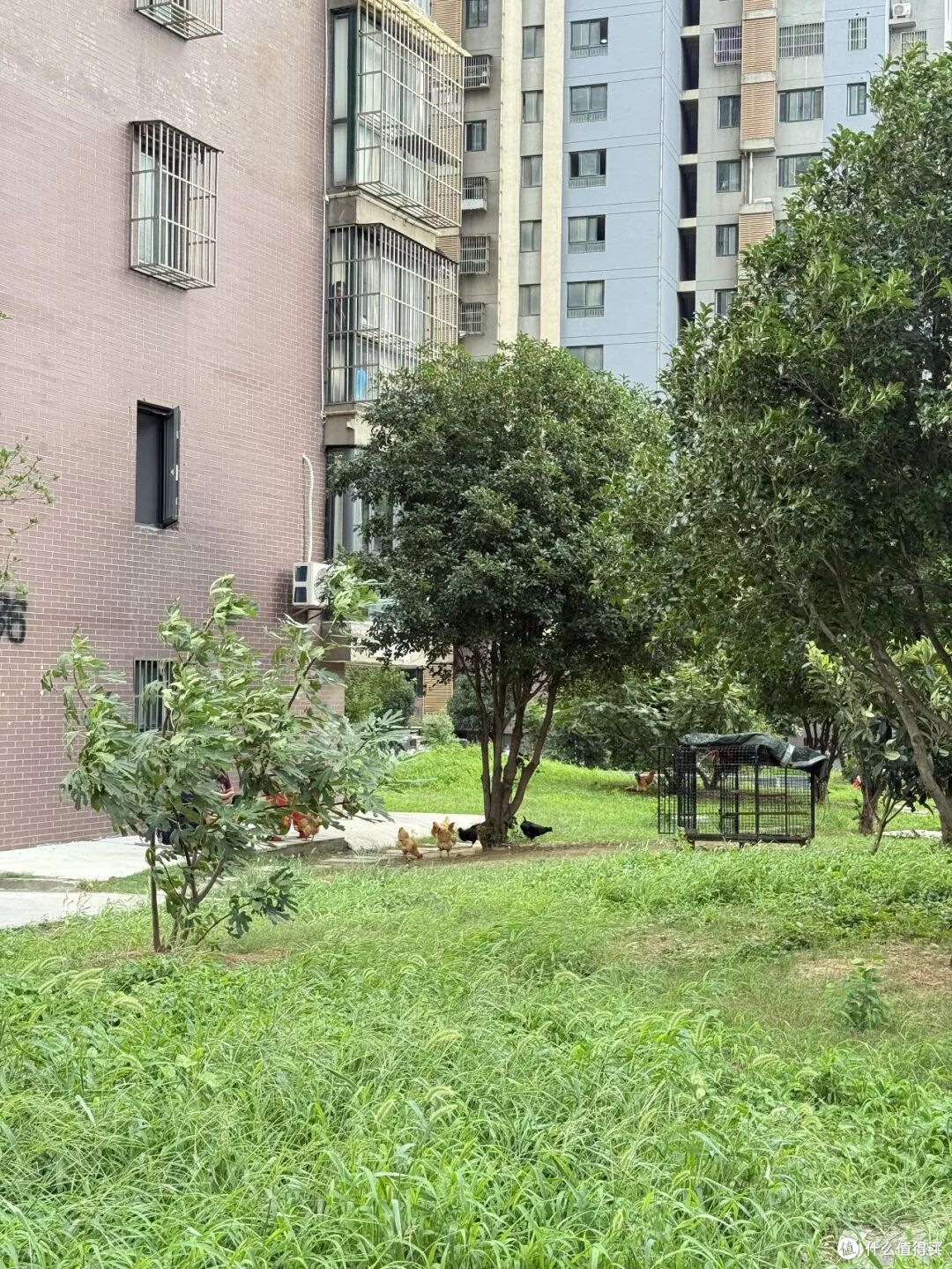 为啥懂行的人,都在悄悄处理这5种房产?过来人:再便宜也别碰!