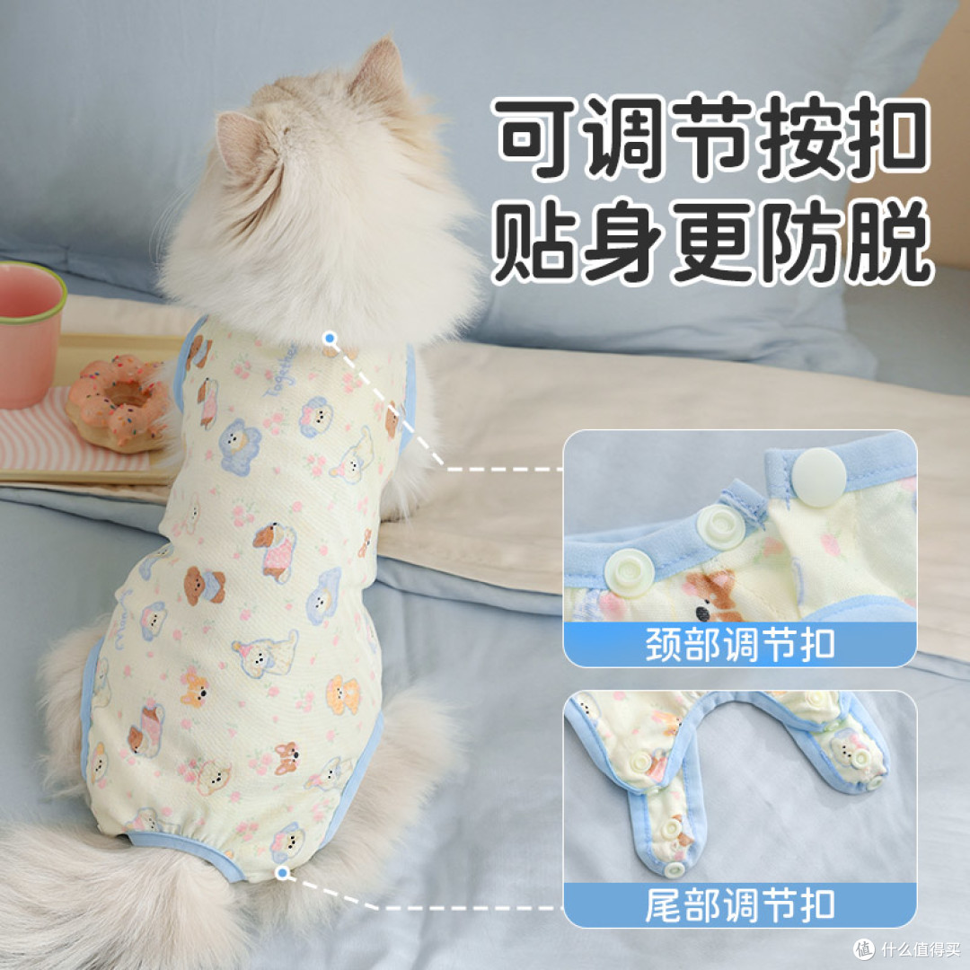 猫咪绝育服 简单说说