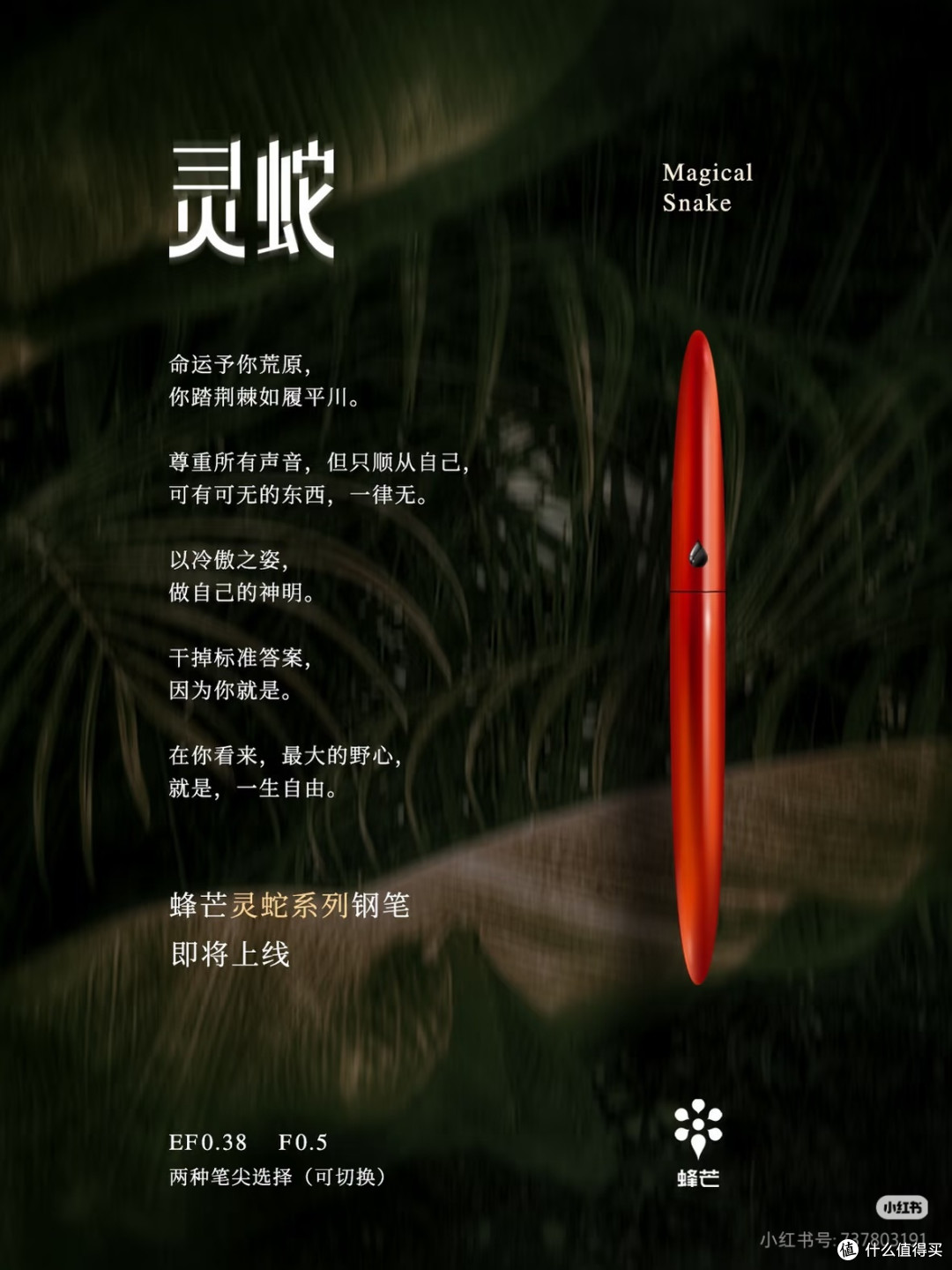 笔落惊风雨，墨影见蜂芒——蜂芒灵蛇