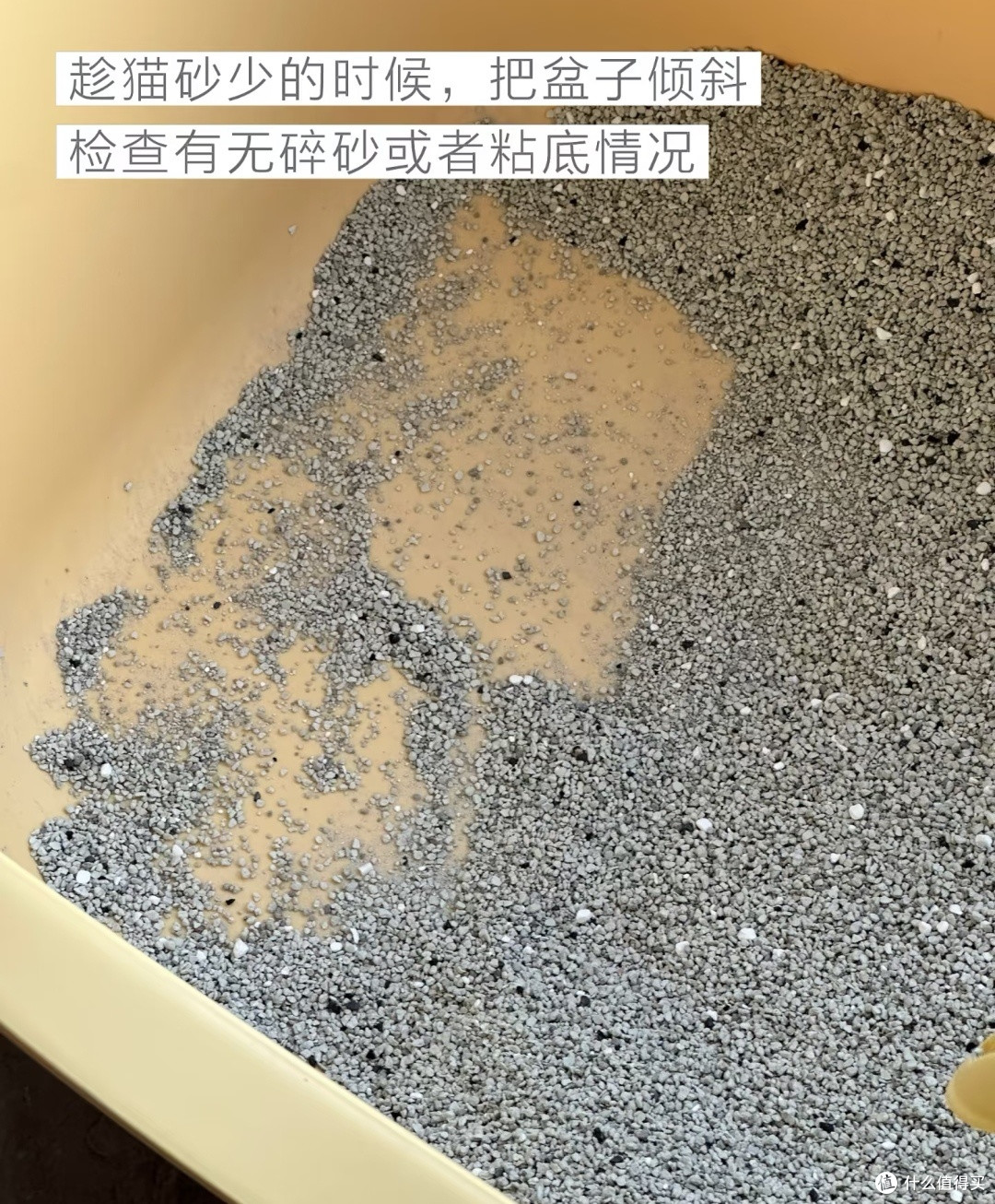 猫砂盆异味彻底清零！告别顽固异味