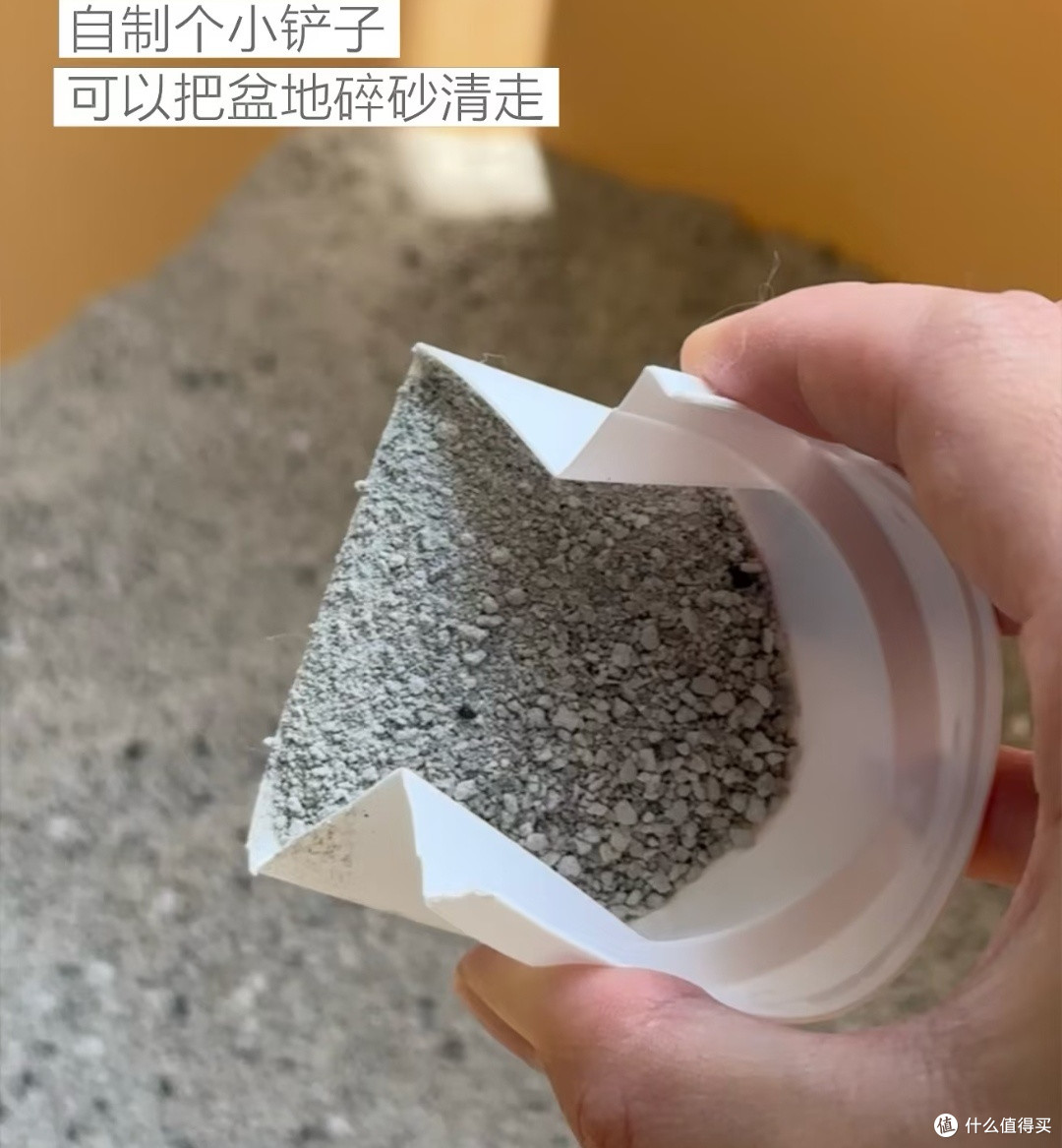 猫砂盆异味彻底清零！告别顽固异味