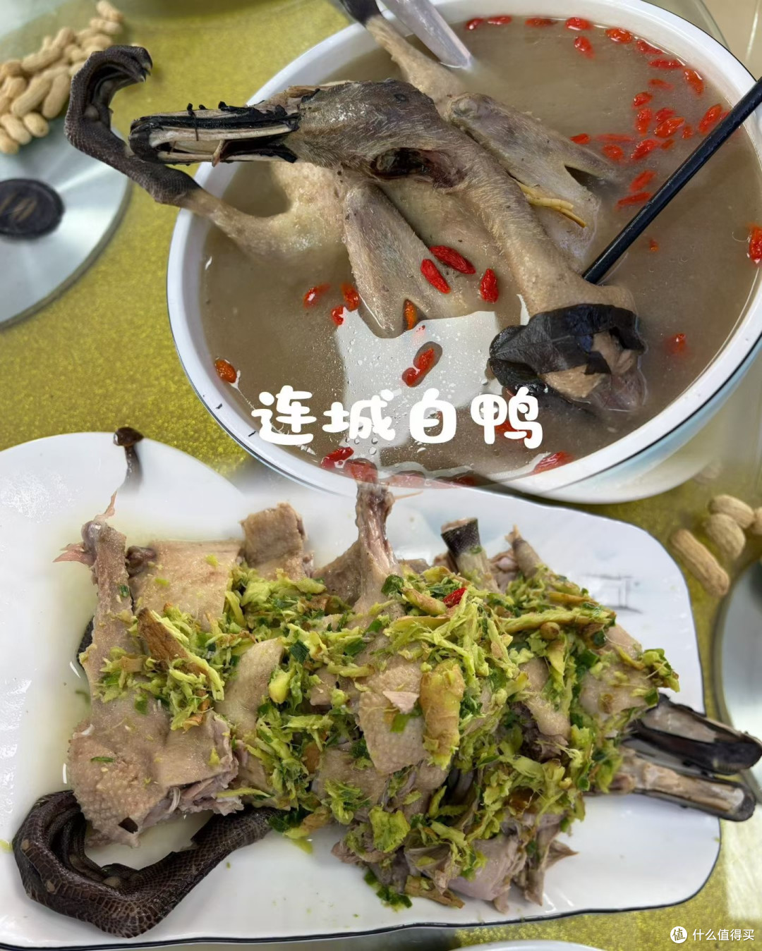 在福建冠豸山偶遇“包场”体验，电梯+游船，笑出腹肌🤣
