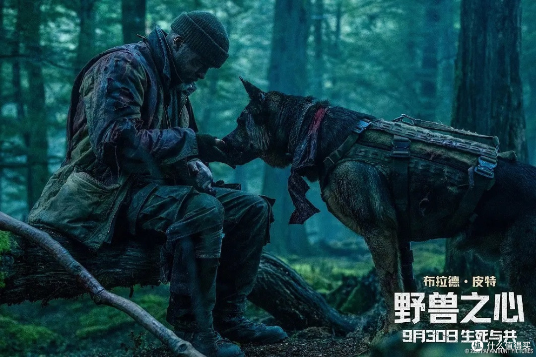 豆瓣 7.2，我却想把它评为年度最佳