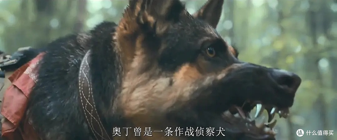 豆瓣 7.2，我却想把它评为年度最佳