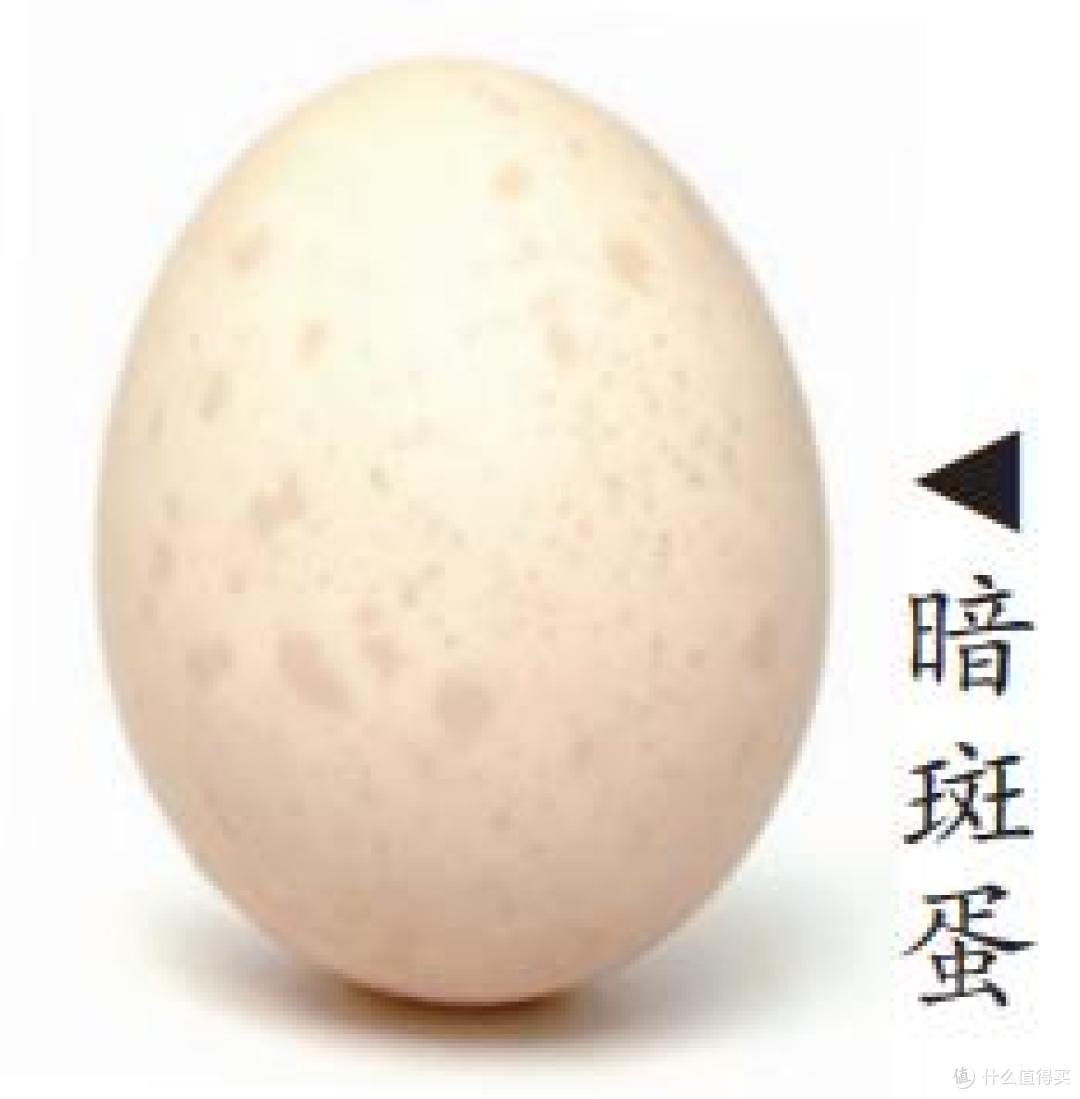 暗斑蛋